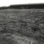 Harris Lebus old football ground on the paddock
